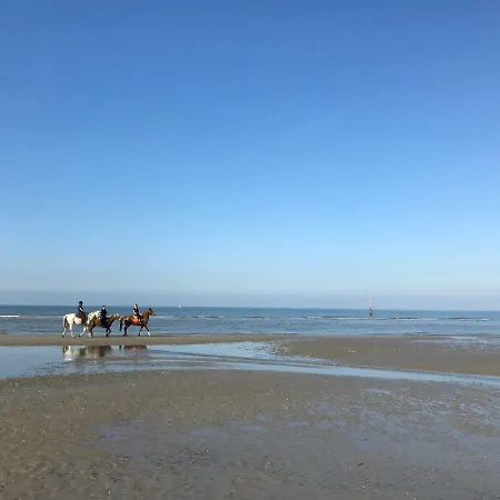 Zeedijk Res Manh Lägenhet Koksijde